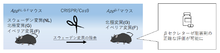新しいアルツハイマー病モデルマウスの開発の図