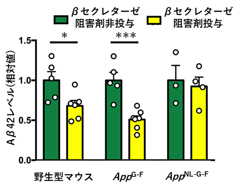 AppG-Fマウスに対するβセクレターゼ阻害剤の効果の図