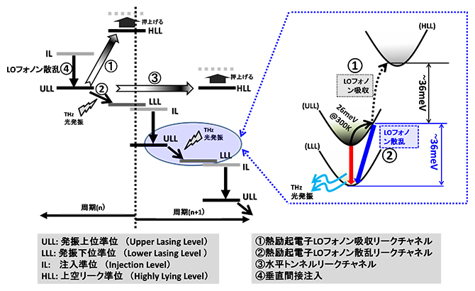 室温動作THz-QCLの動作機構の図