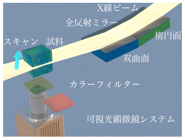 開発した高解像度X線ライトシート顕微鏡（MAXWELL顕微鏡）の構造の図