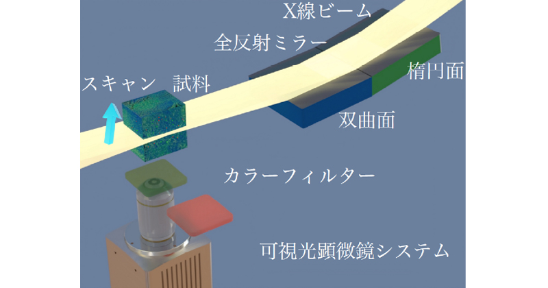 X線ライトシート顕微鏡 | 理化学研究所