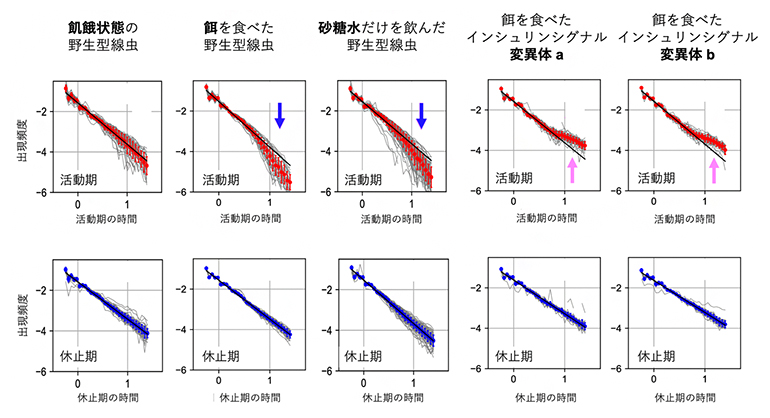 線虫の行動に現れるフラクタルスケーリングとその変化の図