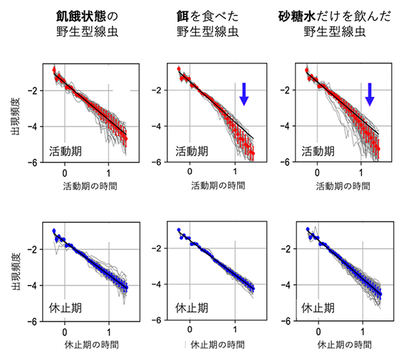 線虫の行動に現れるフラクタルスケーリングとその変化の図