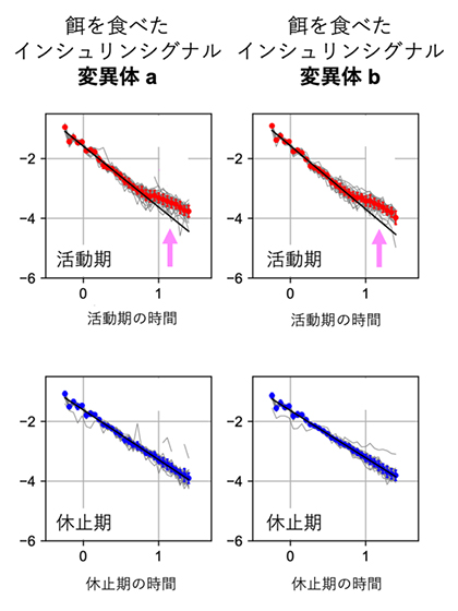 線虫変異体の行動に現れるフラクタルスケーリングとその変化の図