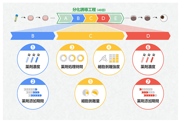 本研究で設定した探索範囲のパラメータの図