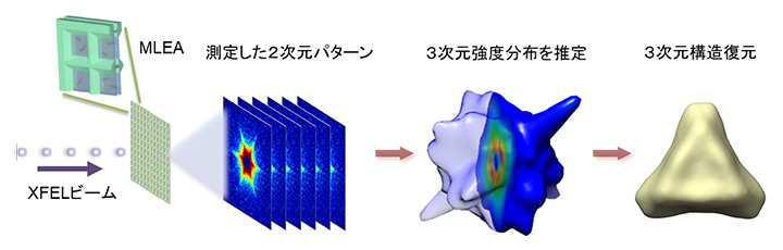金ナノ粒子のXFEL測定データからの3次元構造復元プロセスの図