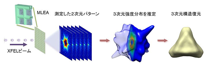 溶液中ナノ粒子を3次元観察できるデータ処理手法～X線レーザーを用いた生体内に近い環境での構造観察に期待～