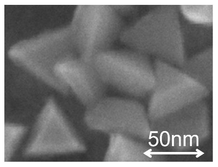 実験に使用した金ナノ粒子の走査電子顕微鏡画像の図