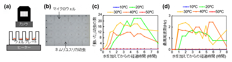 画像によるネムリユスリカ幼虫の挙動把握実験の図