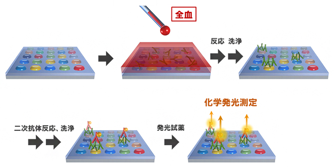 SARS-CoV-2タンパク質を固定化したマイクロアレイチップによる抗体検査原理の図