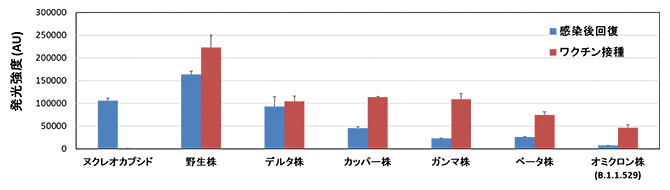 感染後回復者とワクチン接種者の抗体量の比較の図