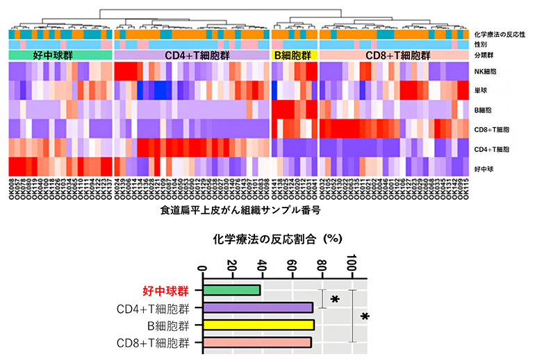 食道がんの免疫分類の図