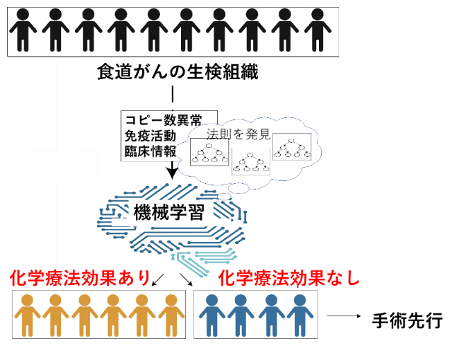 ゲノム情報を用いた化学療法の効果予測の図