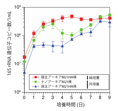 ナノアーキアMJ1株と宿主アーキアMJ1HA株の増殖曲線の図