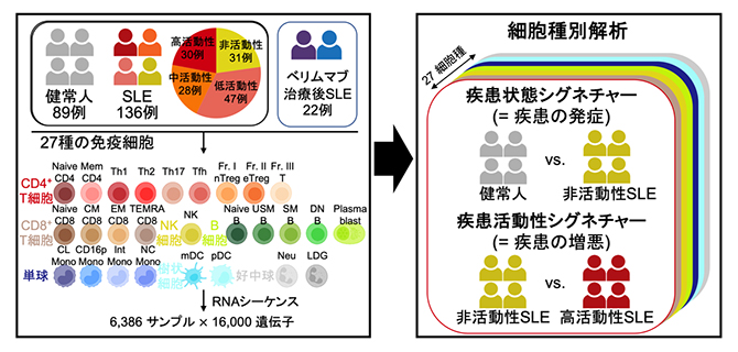 研究の手法の図