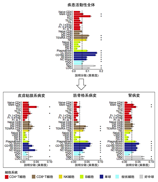 臓器病変に対する細胞種ごとの貢献度の違いの図