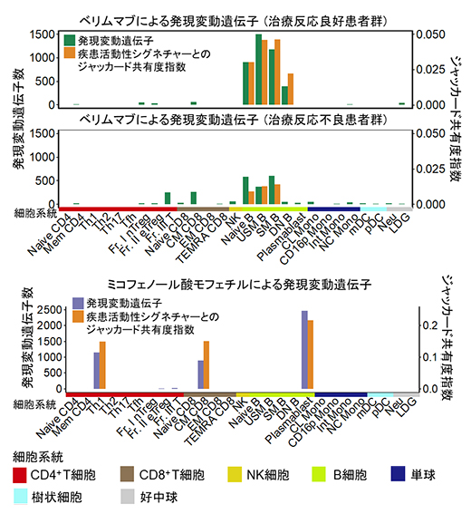 SLEの治療薬による発現変動遺伝子と疾患活動性シグネチャー遺伝子との関連の図