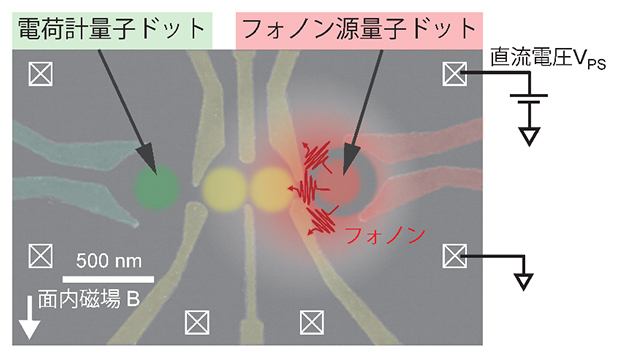 測定試料の電子顕微鏡写真の図