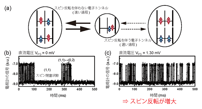 電荷-スピンダイナミクスの概要説明の図