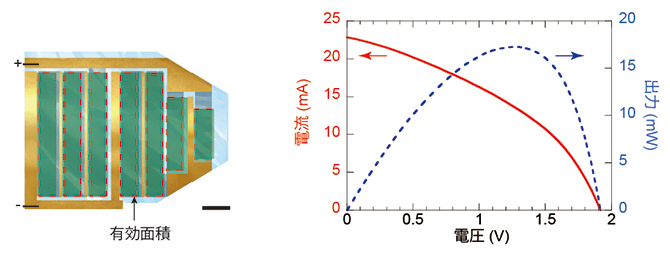 サイボーグ昆虫用超薄型有機太陽電池モジュールの図