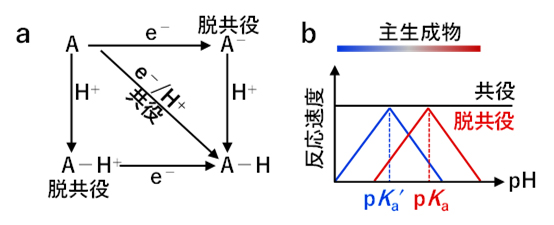 脱共役プロトン電子移動による選択性制御の図