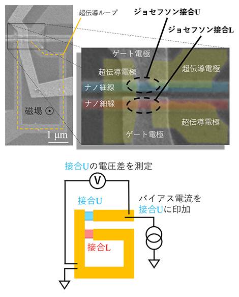 素子の電子顕微鏡写真と模式図の画像