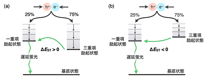 (a)熱活性化遅延蛍光材料と(b)負のΔESTを持つ新材料の発光メカニズムの図