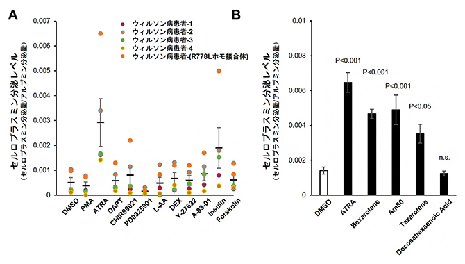 Cp分泌量を上昇させる薬剤候補のスクリーニングおよびレチノイド添加実験の図