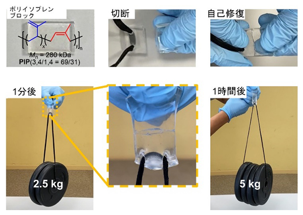 新しい機能性ポリマーの自己修復の図