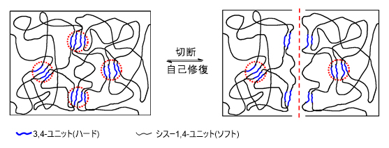 新しい機能性ポリマーのミクロ相分離構造の模式図と自己修復のメカニズムの図