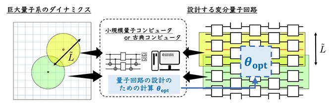 本研究で確立された手法の概要の図