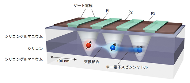 単一電子スピンシャトルによる離れたシリコン量子プロセッサ間の量子接続手法の図