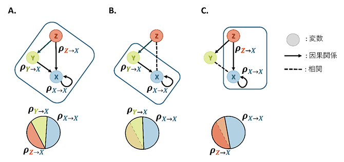3変数の関係で各変数がXの予測にどのように寄与するかを表すダイアグラムの図