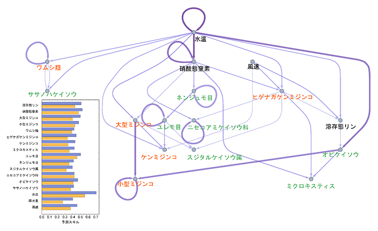 EcohNetが推定した霞ヶ浦微生物生態系の因果ネットワークと予測精度の図