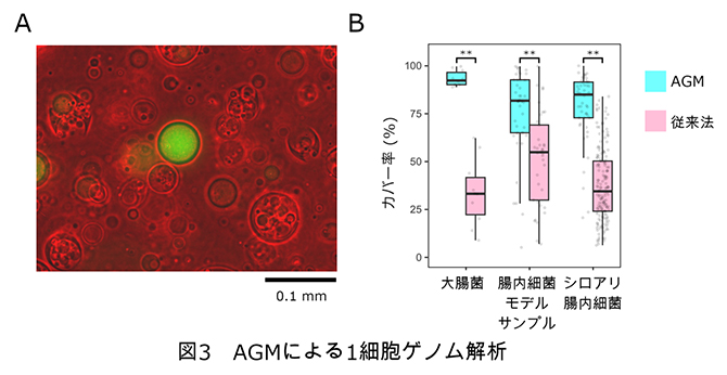 AGMによる1細胞ゲノム解析の図