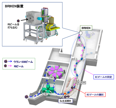 実験装置の全体像の図