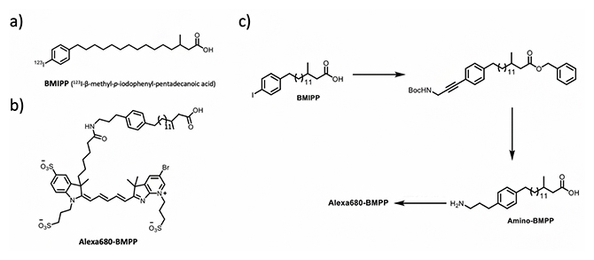 SPECTプローブ123I-BMIPPと近赤外蛍光プローブAlexa680-BMPPの図