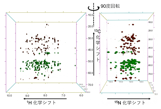 超1GHzコンパクトNMR装置で取得したタンパク質溶液試料のNMRスペクトルの例の図