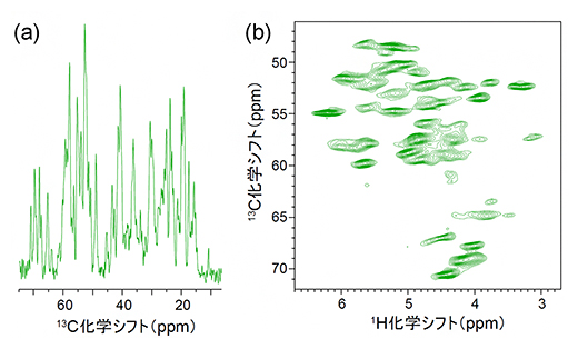 超1GHzコンパクトNMR装置で取得したタンパク質固体試料のNMRスペクトルの例の図