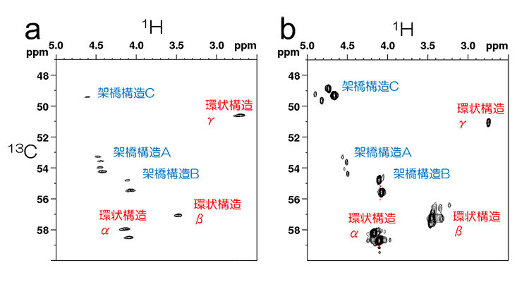 固体試料（a）と溶液試料（b）で比較した硫黄結合点のメチン基の2次元NMRの図