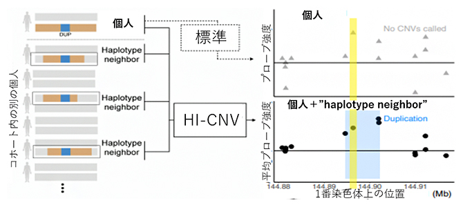 バイオバンクのSNPアレイデータからHI-CNVによりCNVを検出する基本的枠組みの図