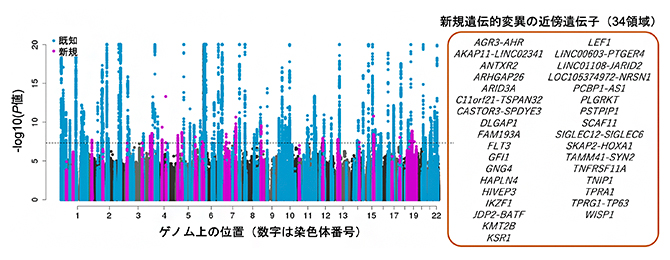 関節リウマチの発症に関わる新しい遺伝子の候補の図