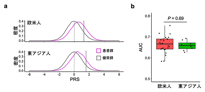ポリジェニック・リスク・スコア（PRS）の欧米人集団と東アジア人集団との比較の図