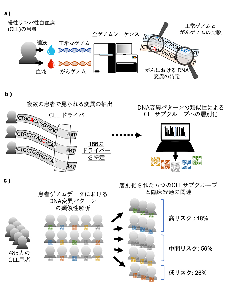 全ゲノムシーケンス解析による患者の新しい層別化手法の図