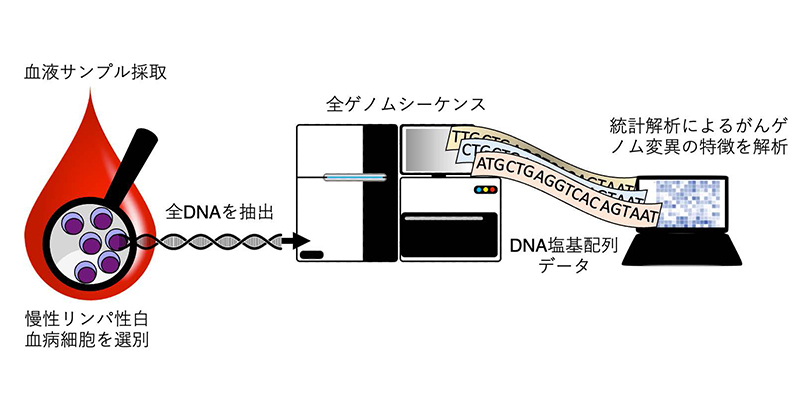 Amazon.com: ハルペリン 病態から考える電解質異常