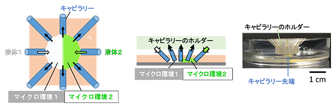 ガラスキャピラリーを収束してマイクロ流体制御を行ったデバイスの図