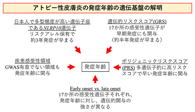 本研究の概要図