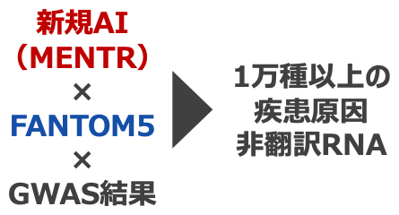 新しいAI（MENTR）を活用した非翻訳RNAの発現予測と疾患研究への応用の図