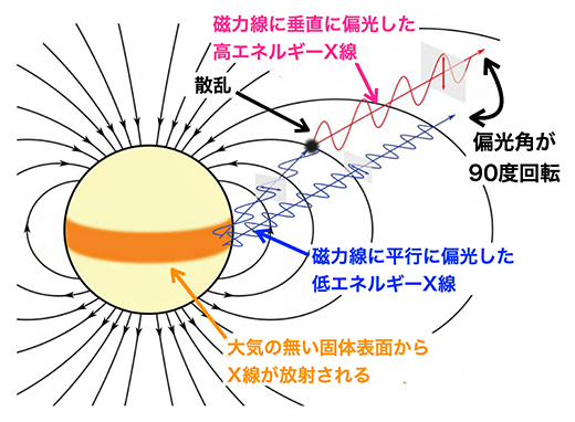 マグネターから放射されたX線が偏光するメカニズムの図