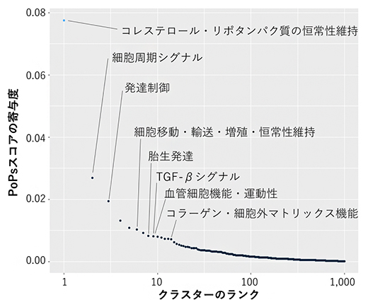 PoPsによる特徴量クラスターのランクの図